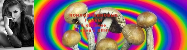 кокс Пестово
