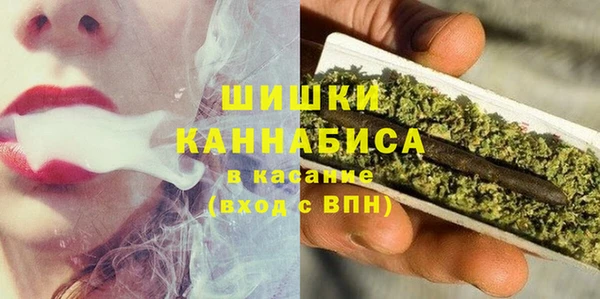 PSILOCYBIN Переславль-Залесский