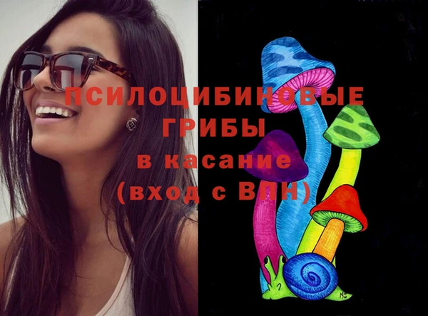 ECSTASY Баксан