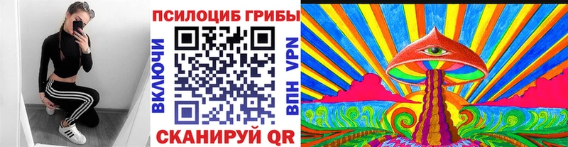 мега онион  Староминская  Псилоцибиновые грибы прущие грибы  магазин  наркотиков 